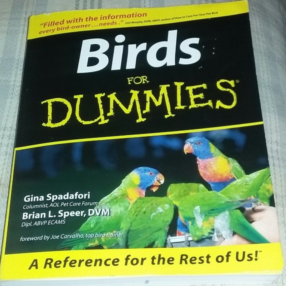 Birds for Dummies Paperback Book Clearance